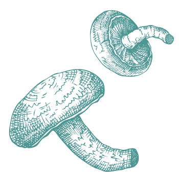 Подкрепете тялото си