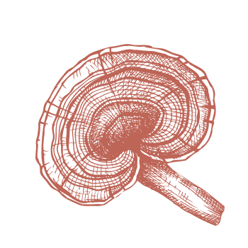 За подсилване на имунната система, се обърнете към природата