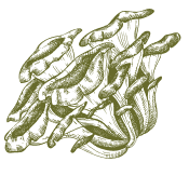 Погрижете се за тялото си с даровете, които ни дава природата