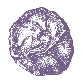 Природната тайна за балансиран живот