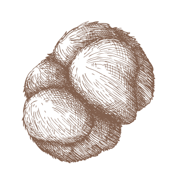 Многостранна подкрепа за дните, пълни с предизвикателства